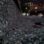 Ночная прогулка рядом с домом (станция BTS National Stadium, MBK)+видео