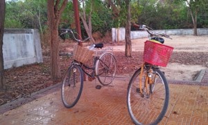 Велосипеды для поездки в Ангкор
